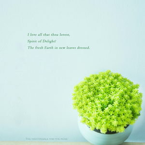 真人与拘做受在线播放
